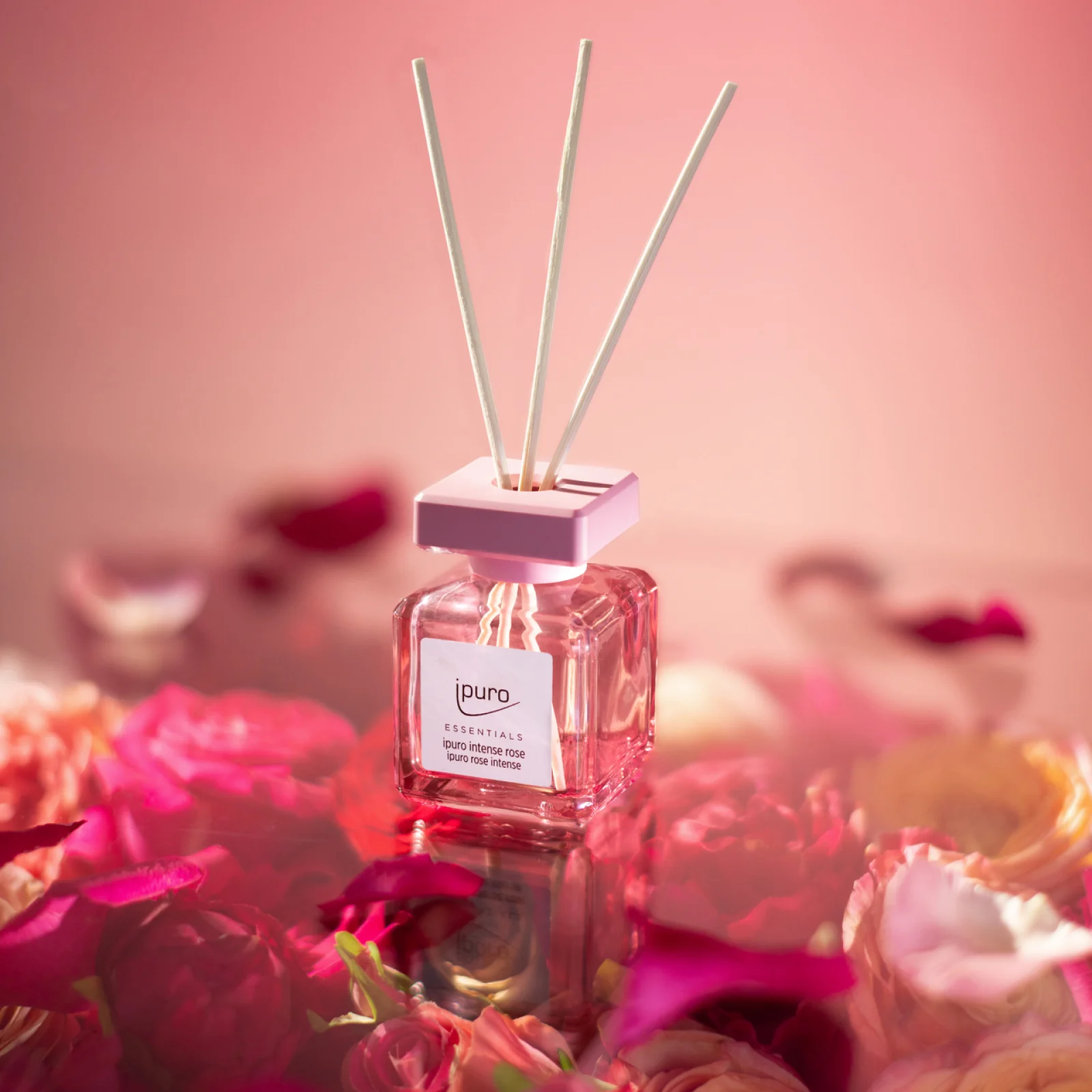 Raumduft-Set ipuro intense rose & dark rose - Image 4